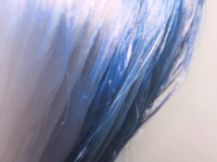 Hair Dying by Sammy&nbsp;Garcia